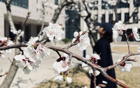 春暖花开，不负阳光